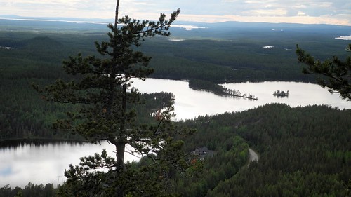 summer lake forest finland landscape geotagged july kuusamo fin 2014 konttainen koillismaa 201407 purnujärvi konttaisjärvi 20140705 geo:lat=6621111698 geo:lon=2921286107
