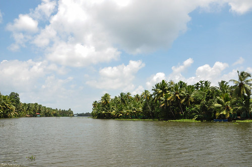 india lake nature nikon cloudy kerala coconuttree backwaters alleppey nikond90