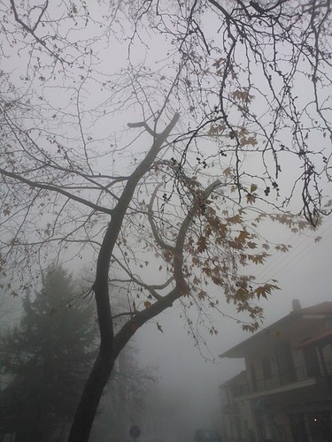 light sky mist mountains tree fog greece macedonia serres