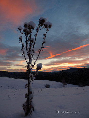 winter sunrise outside newyear kärnten carinthia sonnenaufgang neujahr pisweg 2015 daham drausen neujahrsmorgen