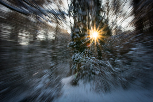 schnee winter light sun snow tree landscape landschaft sonne bäume sunbeam sonnenstrahlen lichter weis