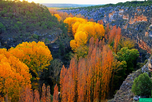 autumn fall hoja leave yellow river paisaje canyon amarillo otoño hoz autofocus duratón