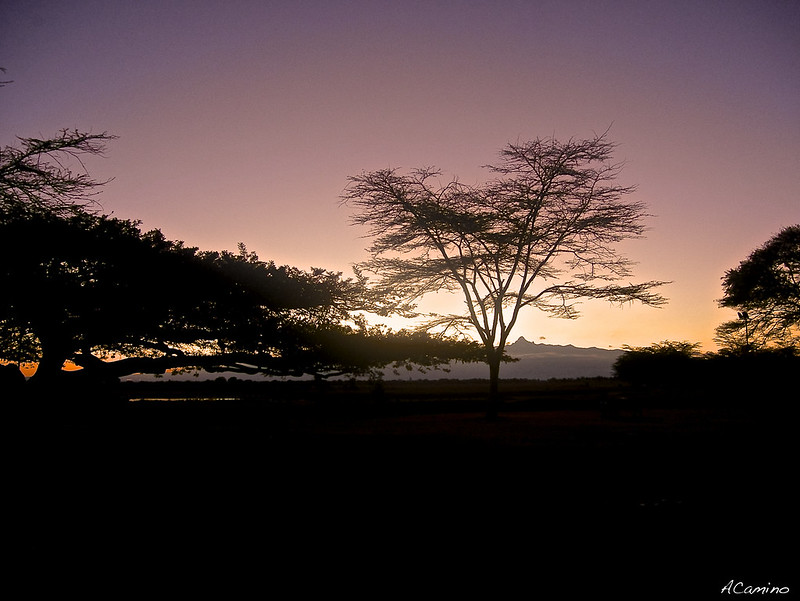 De Monte Kenia al Kilimanjaro. Un viaje agotador de 12 horas. - 12 días de Safari en Kenia: Jambo bwana (2)