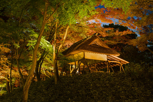 六義園的杜鹃茶屋 Cuckoo tearoom of Rikugi-en Garden