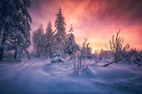 schnee snow forest sunrise canon germany de landscape deutschland landschaft wald sonnenaufgang schwarzwald blackforest hdr badenwürttemberg oppenau