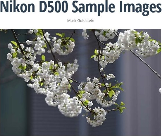 ニコン D500 サンプル画像