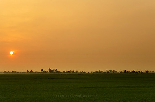 life morning trees light summer sky panorama orange sun tree green nature field grass sunrise landscape scenery flickr day colours paddy outdoor natur paddyfield leonlee28 leonlee