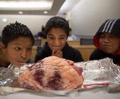 Eyes wide open. Students from the Ute tribe explore what's at the 