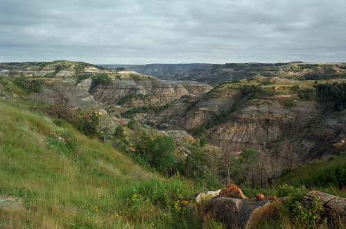 trees grass rural landscape fossil view scenic northdakota badlands ravines