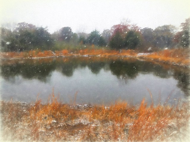 Turkey Mountain Pond