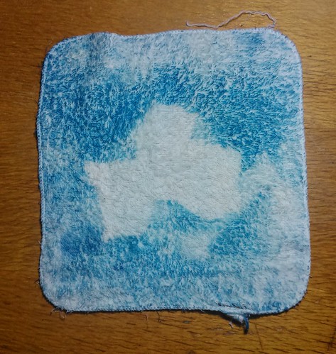 15.  Cyanotypes - Flower towel