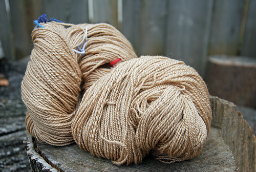 Handspun Falkland wool dyed in black walnut, antique wheel spinning