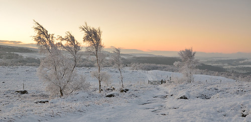winter snow peakdistrict yorkshire nationaltrust darkpeak peakdistrictnationalpark gritstone gritstoneedges
