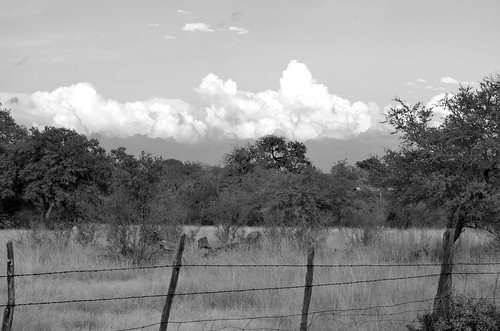 county sky blackandwhite bw cloud tree nature clouds fence landscape outdoors texas tx country hill bandera