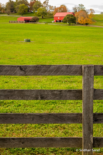 autumn usa fall photography md unitedstates unitedstatesofamerica maryland 2014 reisterstown marylandphotography autumnphotography sridharsaraf untedstatesphotography reisterstownphotography