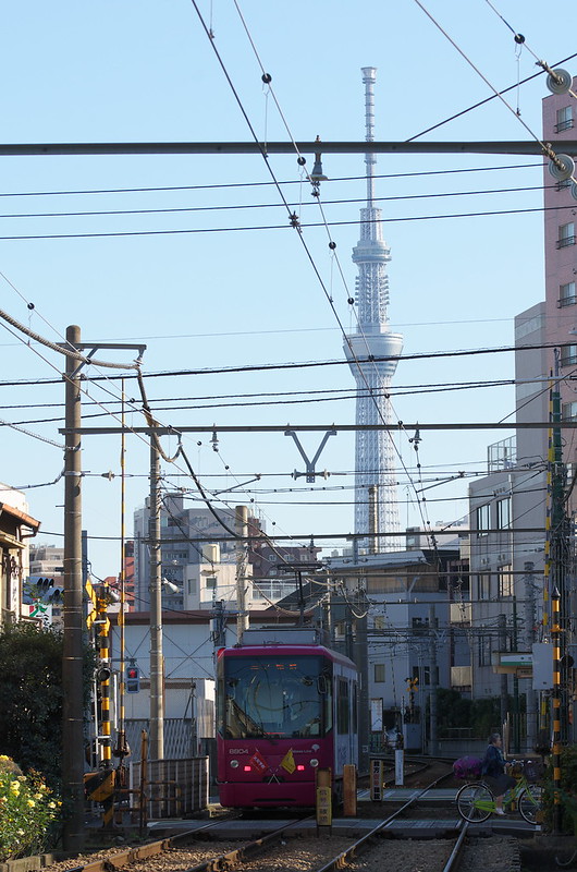 Tokyo Train Story 都電荒川線 2014年11月15日