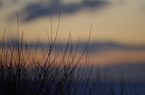 sea clouds sunrise nuvole mare alba dune silhouettes stems duna calabria jonio