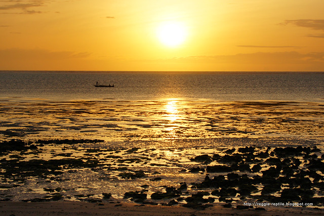 Zanzibar dawn