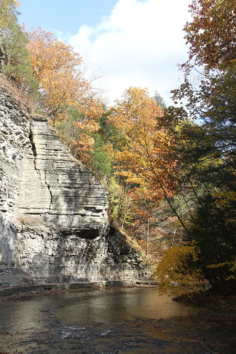 newyorkstate tompkinscounty roberthtremanstatepark