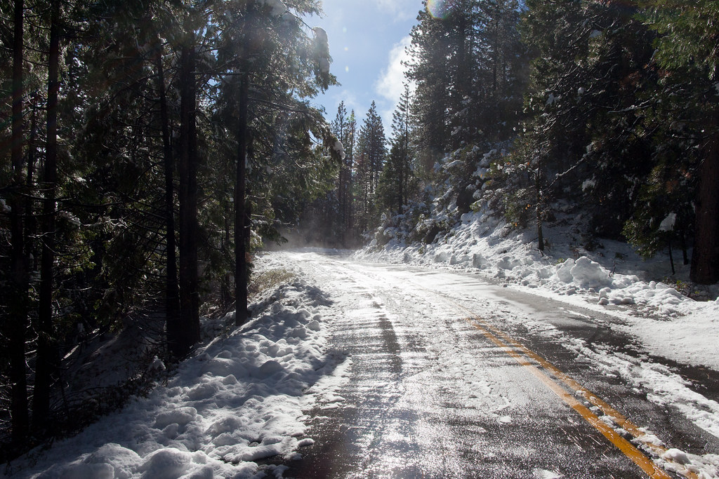 Road to Mariposa Grove of Giant Sequoias