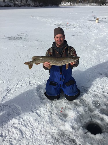 Monty Cowan caught and released this 32-inch northern pike this past weekend while ice fishing in the Sky Valley area of Deep Creek Lake. 
