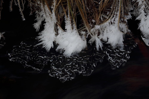 winter nature canon hoarfrost icecrystals yakimacanyon umtanumcreek