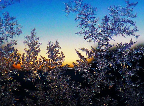 winter cold window nature sunrise dawn scotland frost freezing