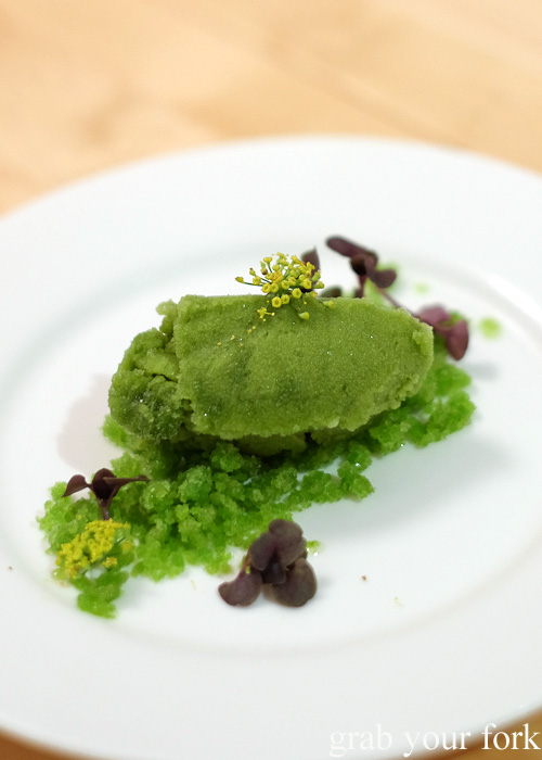 Sorrel sorbet and parsley granita at the Stomachs Eleven Christmas dinner 2014