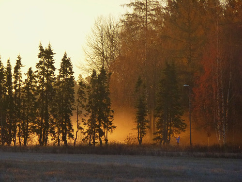 morning autumn sunrise suomi finland lumix helsinki panasonic syksy aamu auringonnousu tuomarinkylä dmctzx22