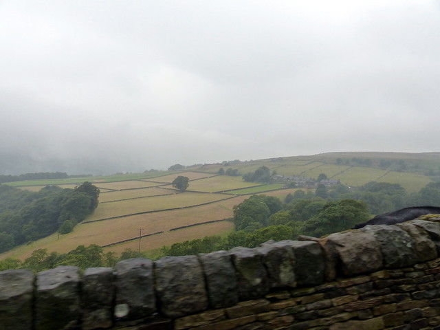 North Yorkshire rain