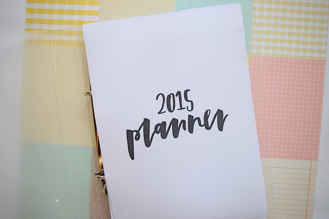 2015 planner set-up with the Pretty Documented planner