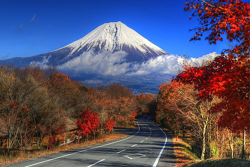 road autumn japan volcano fuji tanuki 日本 shizuoka japon 富士山 volcan fujinomiya 静岡県 田貫湖