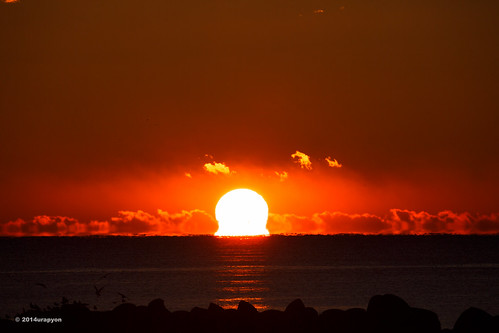 ocean morning red sea sky orange seascape color beach japan sunrise canon seagull wave 日本 海岸 海 空 fukushima iwaki 2014 朝 morningglow 福島 福島県 fineweather いわき 朝焼け いわき市 小名浜 eos5dmarkⅲ eos5dmark3 ef100400mmf4556lisⅱusm