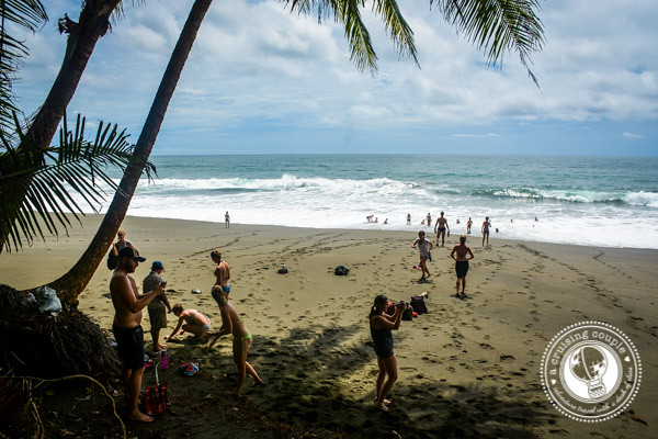 Beach in Costa Rica
