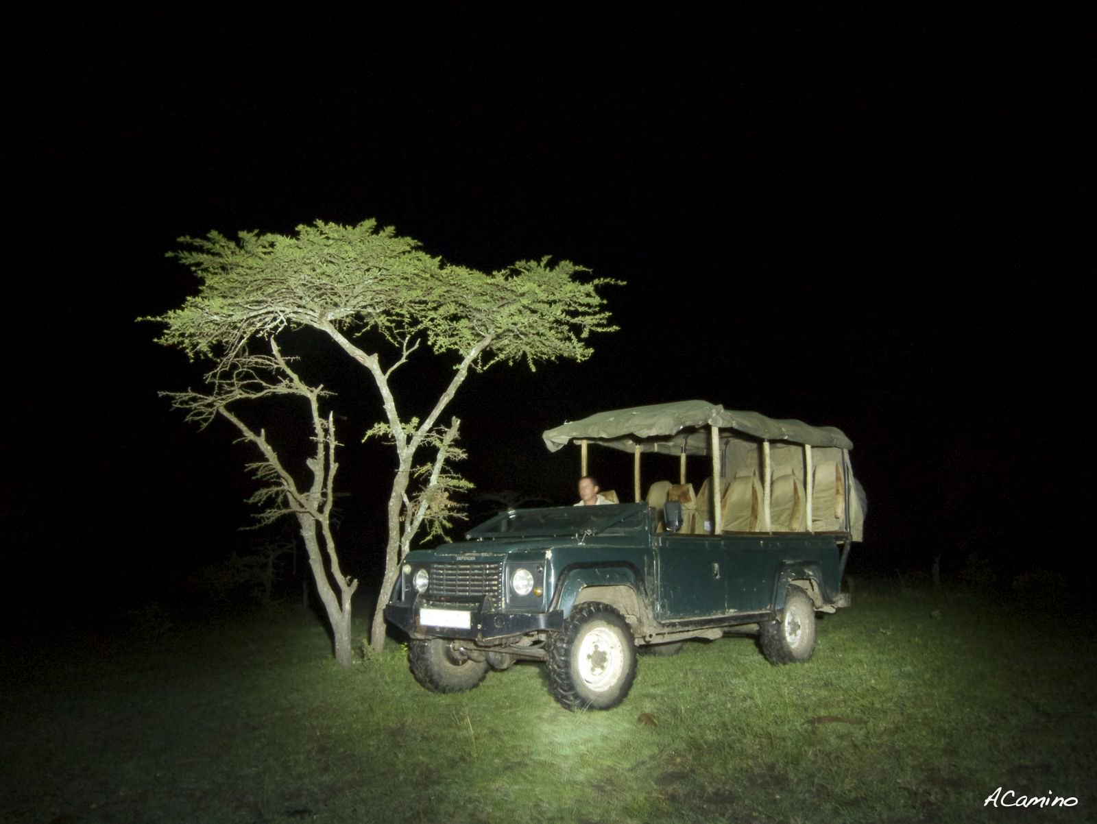 12 días de Safari en Kenia: Jambo bwana - Blogs de Kenia - Excursion a pie por el rio Mara y visita a los Masais (37)