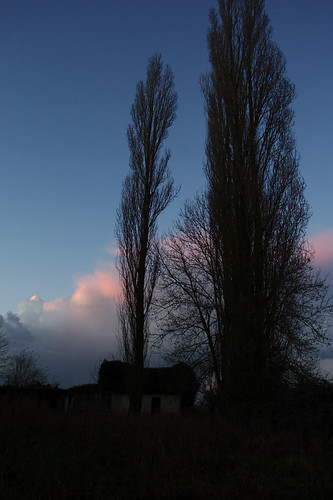 winter sunset france clouds evening abend sonnenuntergang hiver wolken arbres nuages soir coucherdusoleil hautenormandie