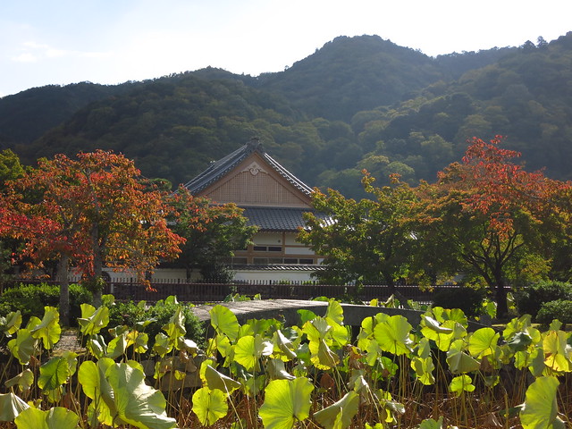 Kyoto 2014: Arashiyama