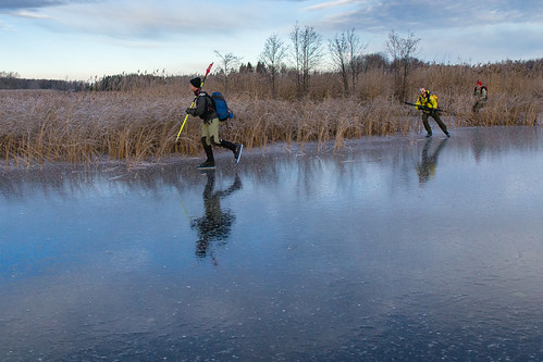 winter ice nature sweden skating sala skate sverige västmanland storsjön långfärdsskridsko västmanlandslän