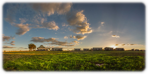 sunset panorama landscape iso100 dusk australia nsw newsouthwales savannah f80 16mm dubbo westernplainszoo cabins 2015 0ev ef1635mmf28liiusm ¹⁄₁₀₀sec canoneos1dmarkiv filename20150103195847x0k0045psd 32°1717s148°352e