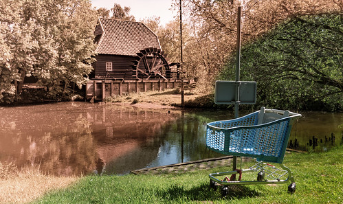 park trees water grass shoppingcart watermill hss gennep genneperparken nederlandvandaag genneperwatermolen sliderssunday vangoghtrail gennepermill
