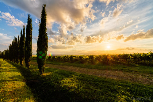 italien sunset sky food color nature clouds zeiss landscape vineyard wine it montalcino toscana ze distagon 5ds distagont815 canon5dsr 5dsr