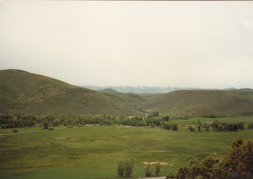 camp field utah 1991 geology wasatchuinta