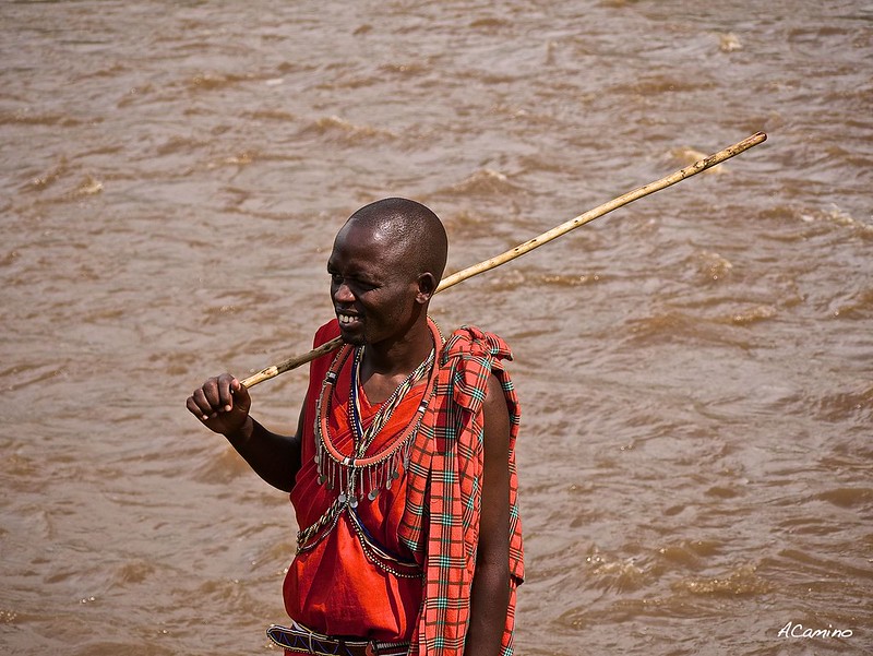12 días de Safari en Kenia: Jambo bwana - Blogs de Kenia - Excursion a pie por el rio Mara y visita a los Masais (24)