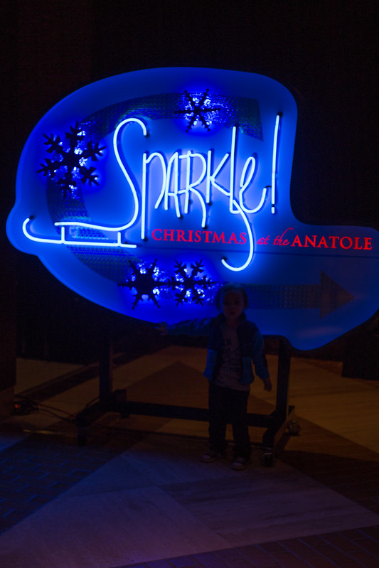 Sparkle at the Anatole-6.jpg