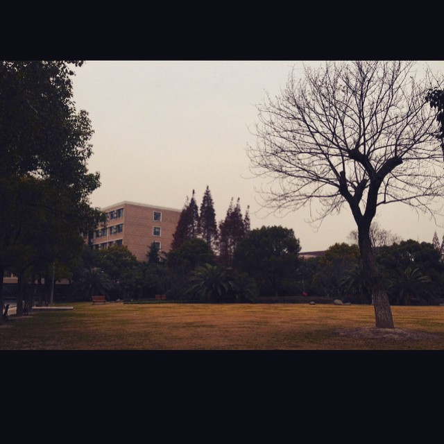 Autumn in Shanghai University of Financial and Economics. Go back to school. #Autumn #Fall #Shanghai #shufe  #University #travel #旅行 #摄影  #Instagram #秋天