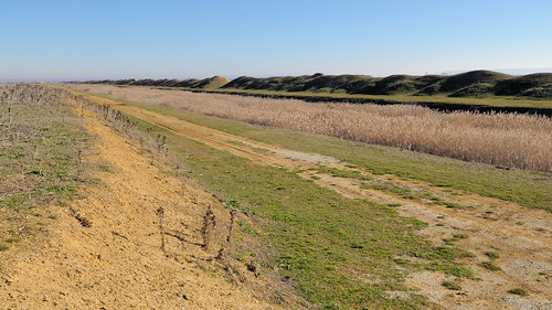 travel travelling nature spain birding birdwatching palencia lanava tierradecampos