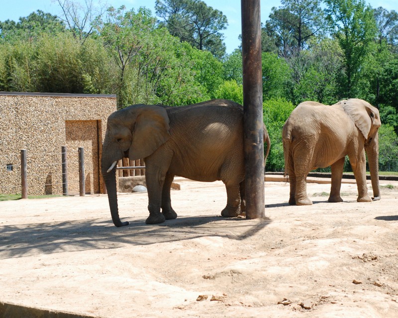 Tyler Zoo with Kiki and Marcus17