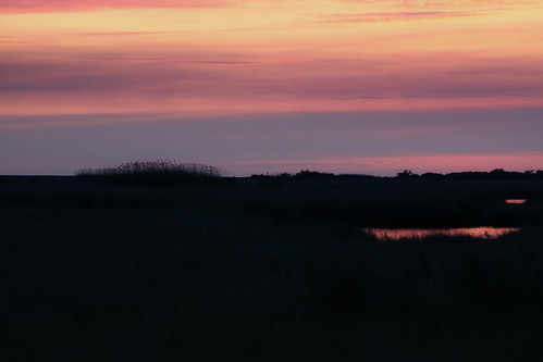 sunset canon louisiana wetlands marsh lafourcheparish goldenmeadow canonrebel3ti ilobsterit