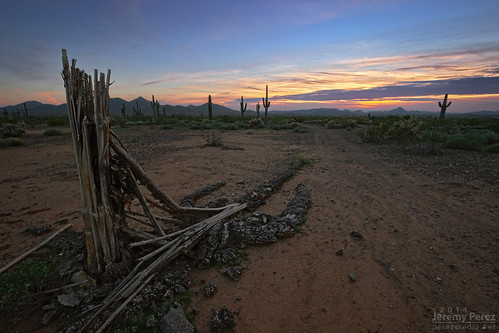 sunset arizona phoenix landscape skeleton desert fallen saguaro