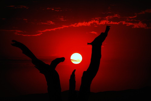 africa sunset nature namibia